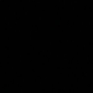 Meet your Posher, Alannah